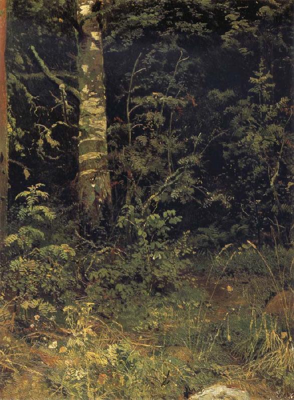 Ivan Shishkin Silver birch and mountain ash oil painting image
